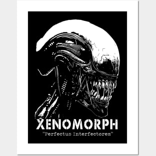 Xenomorph Posters and Art